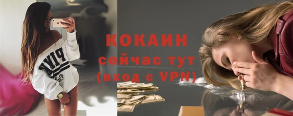 прущие грибы Балабаново