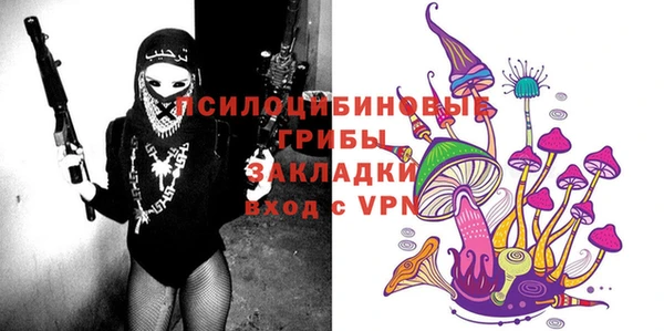 дурь Покачи