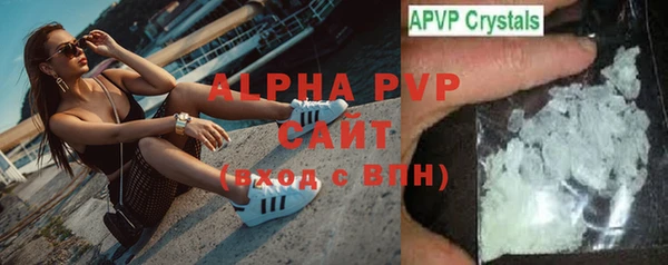 прущие грибы Балабаново