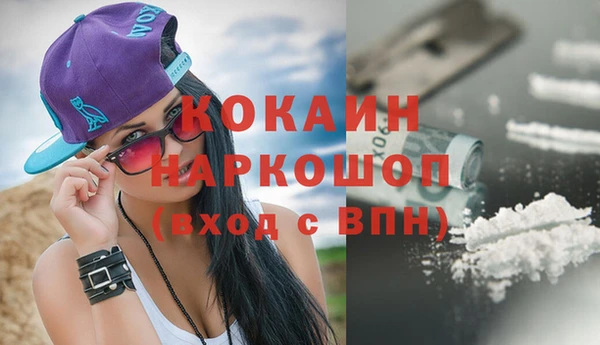 прущие грибы Балабаново
