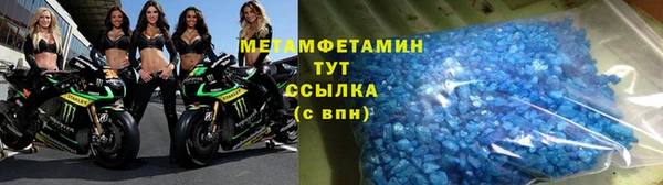 прущие грибы Балабаново