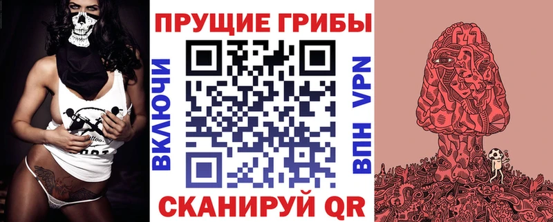 Галлюциногенные грибы мицелий blacksprut онион Белая Холуница купить наркотик